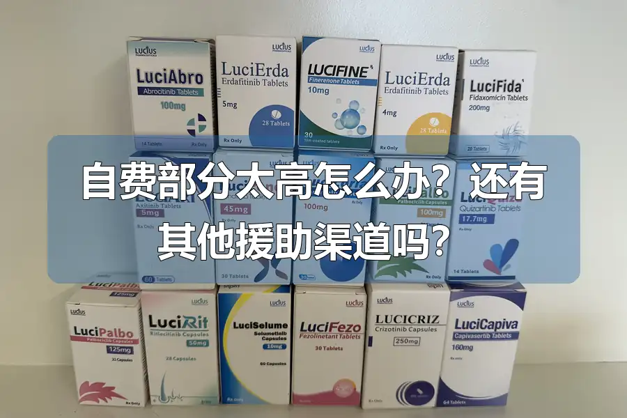 自费部分太高怎么办?还有其他援助渠道吗?